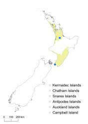 Cheilanthes viridis distribution map based on databased records at AK, CHR & WELT.
 Image: K.Boardman © Landcare Research 2020 CC BY 4.0